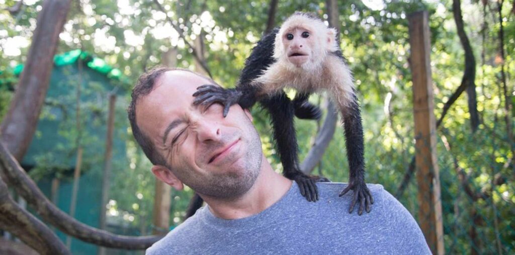 playful-monkey-roatan