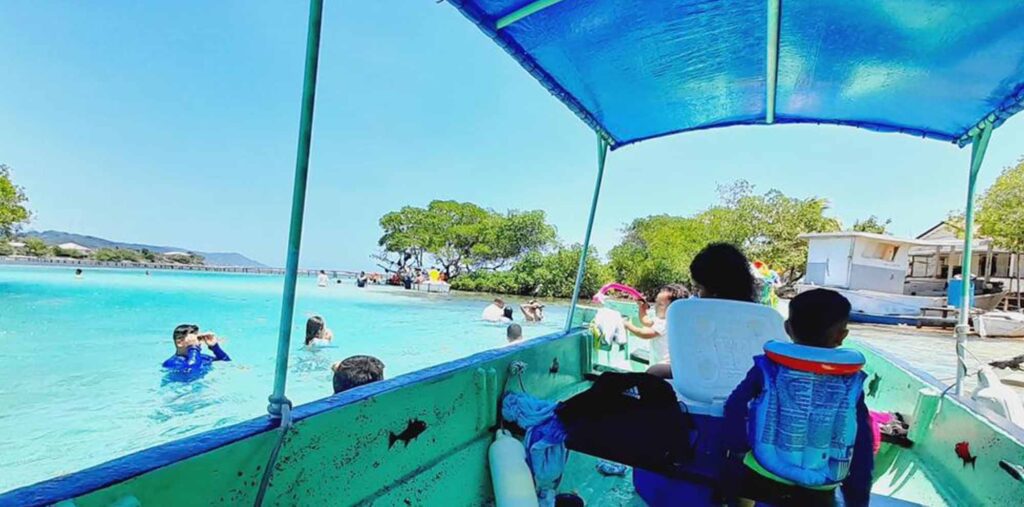 swimming-mangrove